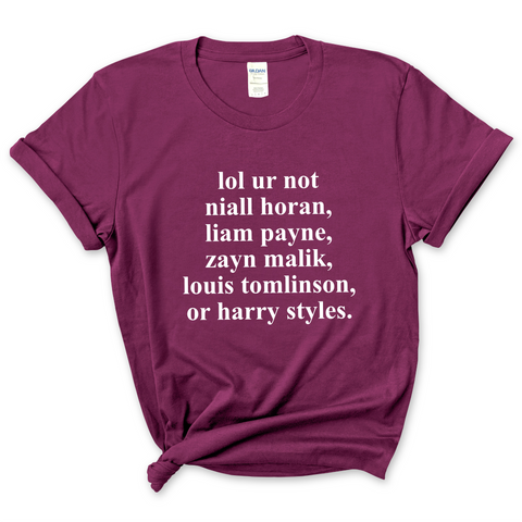 lol ur not niall horan, liam payne, zayn malik, louis tomlinson, or harry styles T-Shirt