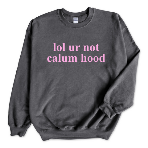 lol ur not calum hood Crewneck Sweatshirt