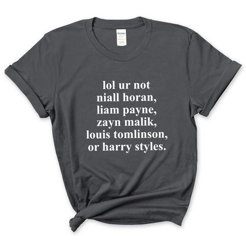 lol ur not niall horan, liam payne, zayn malik, louis tomlinson, or harry styles T-Shirt