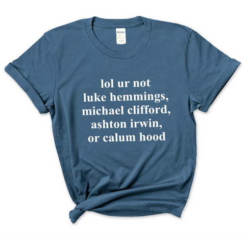 lol ur not luke hemmings, michael clifford, ashton irwin, or calum hood T-Shirt