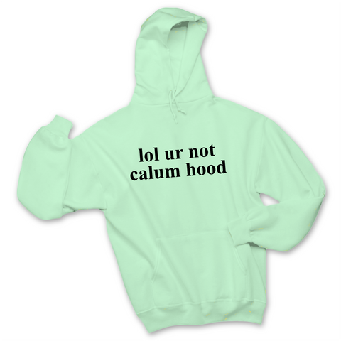 lol ur not calum hood Hoodie