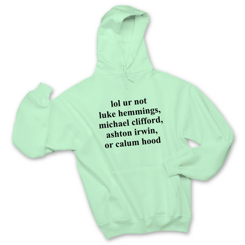 lol ur not luke hemmings, michael clifford, ashton irwin, or calum hood Hoodie