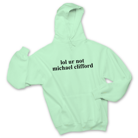 lol ur not michael clifford Hoodie