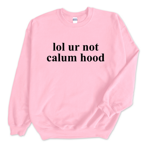 lol ur not calum hood Crewneck Sweatshirt