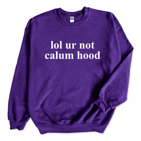 lol ur not calum hood Crewneck Sweatshirt