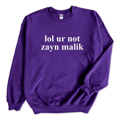 lol ur not zayn malik Crewneck Sweatshirt