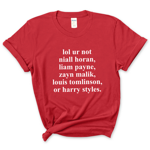 lol ur not niall horan, liam payne, zayn malik, louis tomlinson, or harry styles T-Shirt