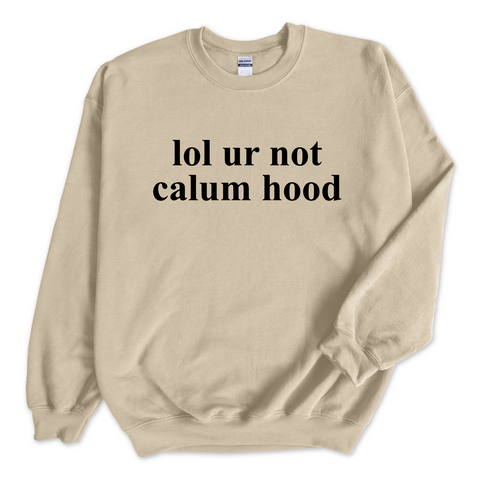 lol ur not calum hood Crewneck Sweatshirt