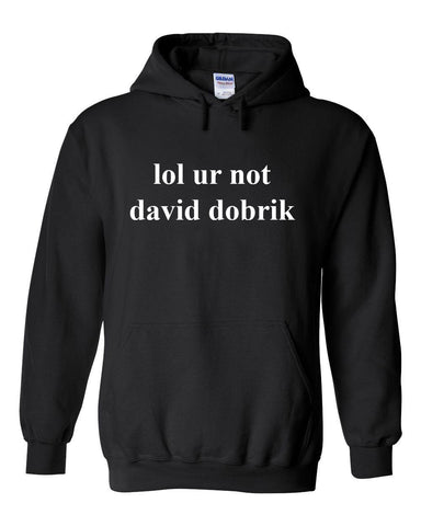 lol ur not david dobrik Hoodie Sweatshirt