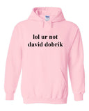 lol ur not david dobrik Hoodie Sweatshirt