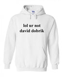 lol ur not david dobrik Hoodie Sweatshirt