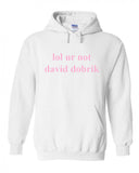 lol ur not david dobrik Hoodie Sweatshirt